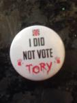 did not vote tory